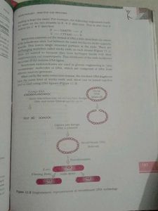 Biology Textbook