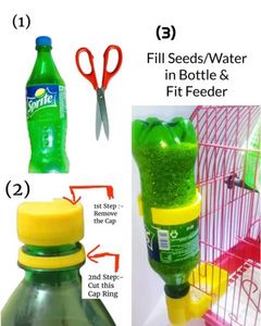 Automatic Feeder In Lowest Coins
