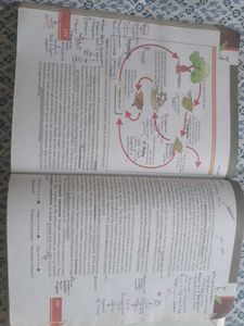 NCERT Class 12 Biology (COVERED)