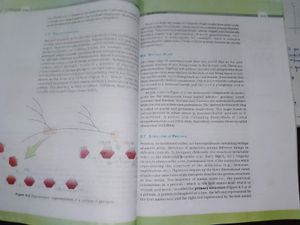 NCERT Biology No Highlight Or Underlined