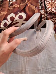 Handbag With Minor Chirpings