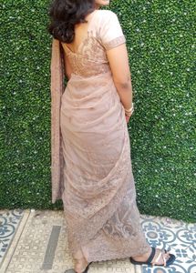 Designer Beige Saree With Blouse