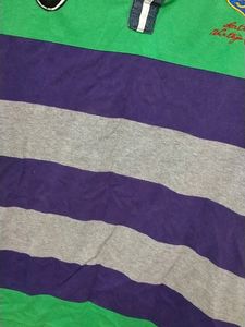 Green And Purple Multicolour Tshirt With Collar