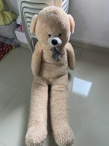 Giant Teddy