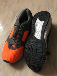 Sports Shoe