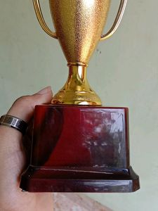 Cup Trophy Suitable For All Sports
