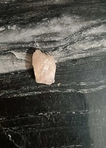 HAND PICKED 🍂Decorative Rocks And Broken Shell