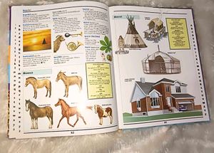 The Grolier Children Dictionary Book
