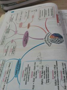 CBSE Class 10 Science book