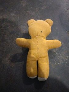 Chhota Teddy Bear
