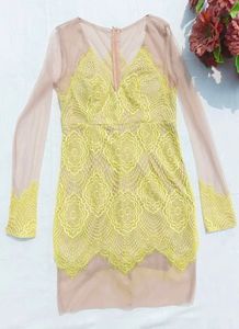 nude net bodycon dress