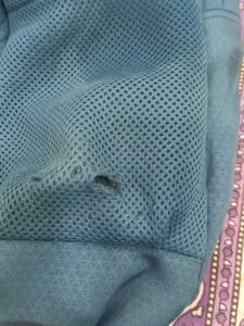 Blur Color Used Schhol Bag