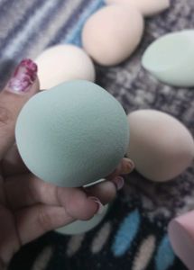 Makeup Blenders