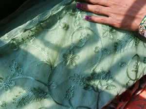 Beautiful Net Saree