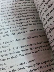 The Housemaid Series by Freida McFadden