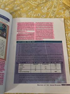 Class 10 Cbse - Economics Textbook