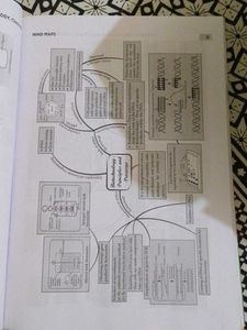 Oswaal Cbse Bio Sample Question Papers Class 12