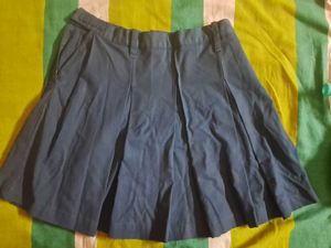 2 Sets Of Navy Blue Pleated Skirt
