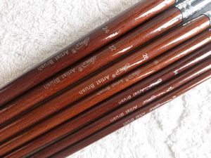 Artist Paint Brush Set