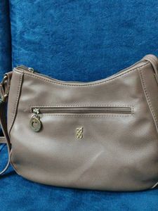Baggit Bag