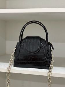 Zara Croc Embossed Bag