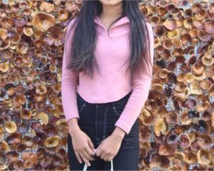 Pink Nude Color Top
