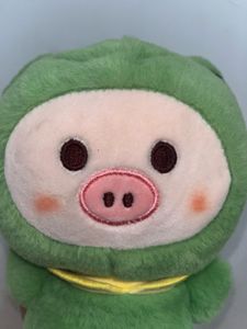 Frog-Pig Plushie