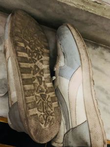 Used Casual Shoes