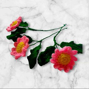 Crochet Daisy Flowers