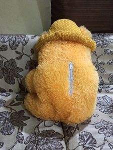 Teddy Bear