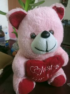 Teddy