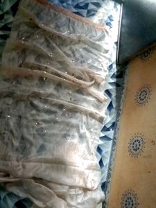 Beautiful Organza Fabric Saree