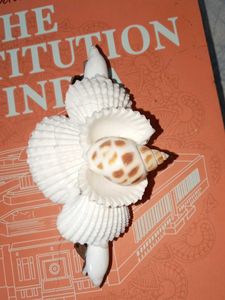 Hair Clip