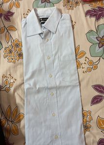 Light Blue Lombardi Shirt