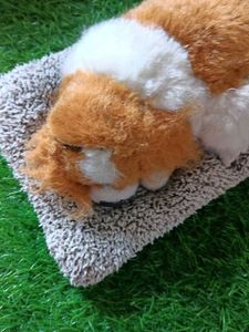 Mixed Plush softToy Bundle pack of 9