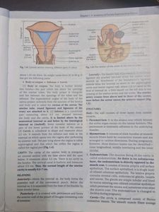 DC Dutta's Textbook of Obstetrics