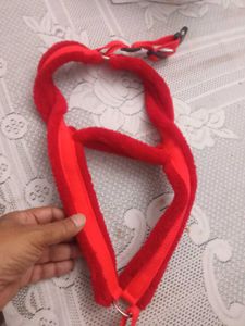 Harness for a big dog