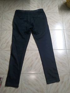 Branded Pant