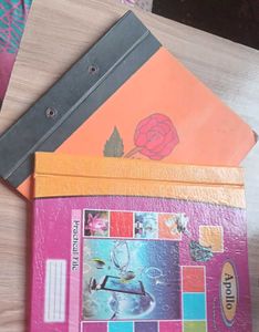 Vintage School Folders - 2 Included!