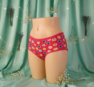 Women Pink Brief Panty 30