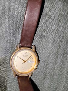 Real Titan Watch