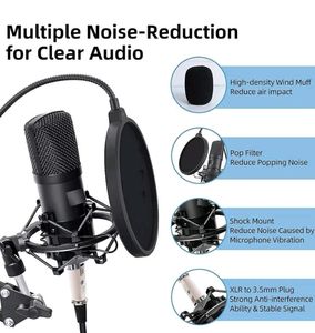 BM 800 Professional Condenser Microphone