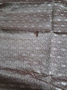 Elegant Brown & Silver Dupatta
