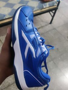 Branded Badminton Shoes Uk05
