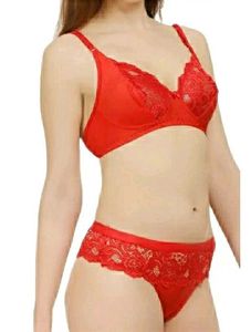 Lace Net Sexy Lingerie Set New With Tag
