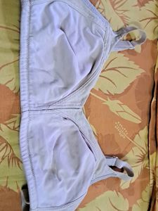 Three Enamor 40C And 1 38D Storia Bras