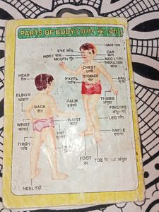 Saral English Teacher Book