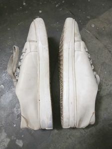 Sneakers Casual Shoes