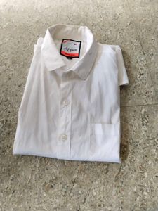 Crisp White Button-Down Shirt
