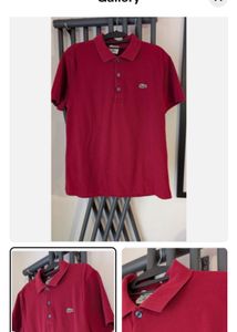 Light Mesh Cotton  Lacoste